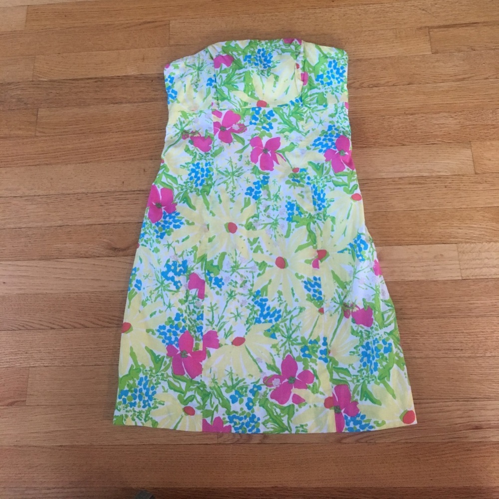 NWT Lilly dress